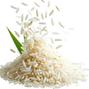 IRRI-6 RICE